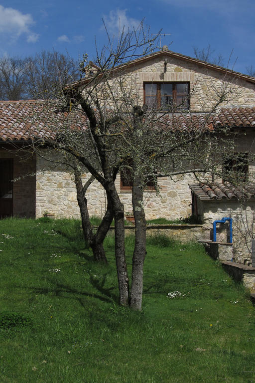 Il Vignale Casa de hóspedes Massa Martana Exterior foto